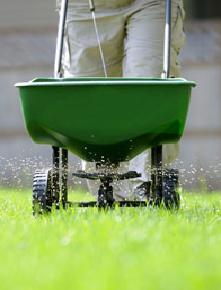  Lawn Fertilization and spring clean up in Andover, Bradford,  Haverhill, and the Merrimack Valley
